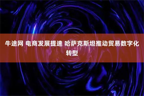 牛途网 电商发展提速 哈萨克斯坦推动贸易数字化转型